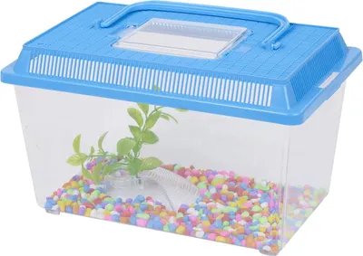 Produktbild von Kunststoff Aquarium Starter Set - Ideal für junge Fischliebhaber