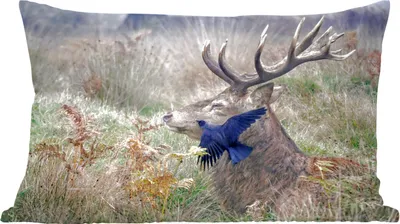 Produktbild von MuchoWow® Zierkissen Sofakissen Wohnzimmer Dekokissen 50x30 cm Hirsch - Vogel - Wald - Wohnzimmerdekoration - Polster mit Photo