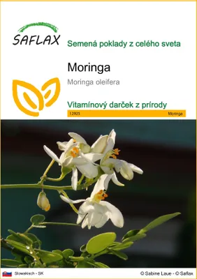 Obrázok produktu pre SAFLAX - moringa - Moringa oleifera - 10 Semená