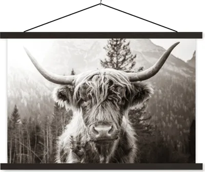 Produktbild von MuchoWow® Textilposter Schottisches Hochlandrind - Kuh - Tiere - Schwarz - Weiß 120x80 cm mit schwarzem Rahmen - Wanddeko