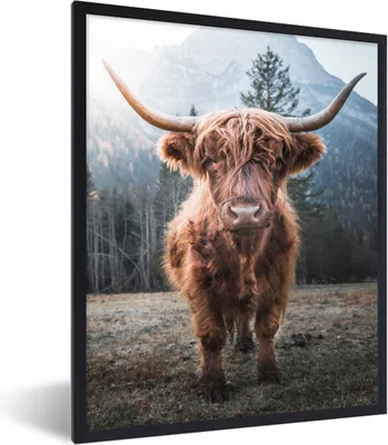 Produktbild von MuchoWow® Gerahmtes Poster Schottischer Hochländer - Kuh - Tiere - Berg - Natur 60x80 cm - Poster mit Schwarzem Bilderrahmen Wandposter Rahmen Foto Bilder - Premium - Wanddeko Wohnzimmer