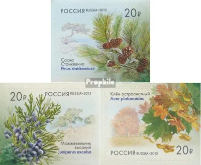 Produktbild von Briefmarken Russland 2015 Mi 2150-2153 (kompl.Ausg.) postfrisch Einheimische Flora