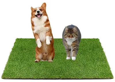 Produktbild von Hunde-Toilette nachhaltig - Kunstrasenmatte - Welpen-Toilette - Bissfest - Zusammenklappbare Haustierbox - Realistisches Design - Kunstrasenmatte