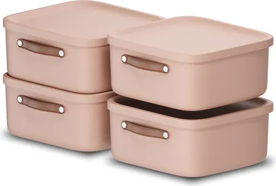 Produktbild von Rotho 4er-Set Aufbewahrungsbox 20 L Maloja - Kunststoffbox mit Deckel - Stapelbox 39,5 x 38,0 x 17,7 cm - Plastikbox Ordnungsbox Allzweckkiste