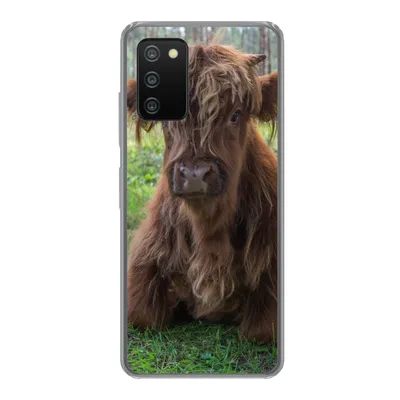 Produktbild von MuchoWow® Handyhülle Schutzhülle Hülle für Samsung Galaxy A03s Schottischer Highlander - Kröte - Tiere Silikon Softcase Handy Hülle - Schutz