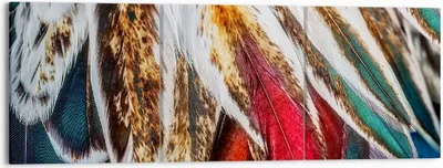 Produktbild von Bild auf Leinwand - Leinwandbild - Federn Federn Vogel - 150x50cm - Wand Bild - Wanddeko - Leinwanddruck - Bilder - Kunstdruck - Wanddekoration - Leinwand bilder - Wandkunst - CA150x50-3743