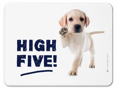 Immagine prodotto di Tagliere della colazione cane, High Five, animali Tagliere della colazione Tagliere Taglieri