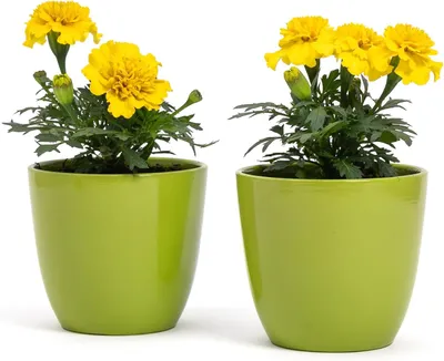 Obrázok produktu pre Sada dvoch kvetináčov, terakota, priemer 10 cm, vhodné na rastliny a kvety