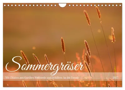 Produktbild von Sommergräser (Wandkalender 2027 DIN A4 quer), CALVENDO Monatskalender