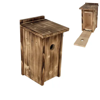 Image de CAWI Nest pour caméra Blink (caméra non incluse) - Bois écologique, protection contre les prédateurs, sans fil, pour l'observation des oiseaux dans le jardin