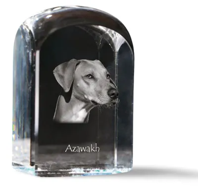 Immagine prodotto di Azawakh cristallo sigillo sigillo con cane Art-Dog