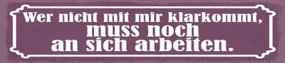 Produktbild von vianmo Blechschild 10x46 cm Wer mit mir nicht klarkommt