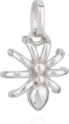 Produktbild von Kettenanhänger Spinne 925 Silber anlaufgeschützt 11x11mm klein Amulett Talisman