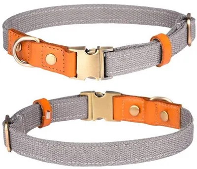 Obrázok produktu pre Nylonový obojok pre psov – nastaviteľný – s nylonovým popruhom – ľahký – priedušný – vhodný pre obvod krku 31-50 cm