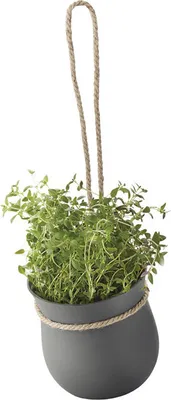 Obrázok produktu pre Rig-Tig GROW-IT Kräutertopf grey