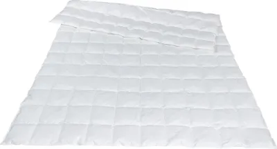 Produktbild von Traumina Bettdecke Plume Bio Daune extra leichte Sommerdecke Wärmeklasse 1 Größe 155x220 cm
