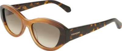 Produktbild von Ferragamo SF2104S Honey horn/dark tortoise 55/18/145 Damen Sonnenbrillen