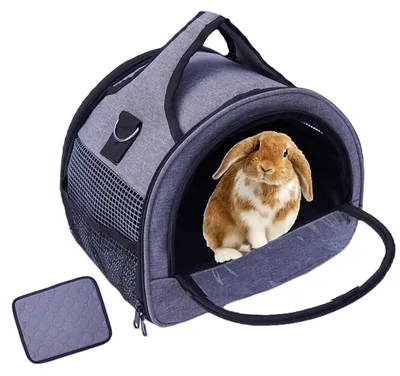 Image de Cage de transport pour petits animaux, taille XS, couleur grise, dimensions : 30 x 25 x 25 cm