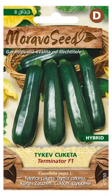Obrázek produktu pro Tykev cuketa zelená TERMINATOR F1 - hybrid 67250