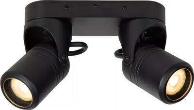 Image de Applique et plafonnier d'extérieur 2x GU10 6W NIORT Lucide