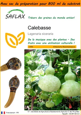 Image de SAFLAX Garden in the bag - Calebasse - 15 graines - Lagenaria