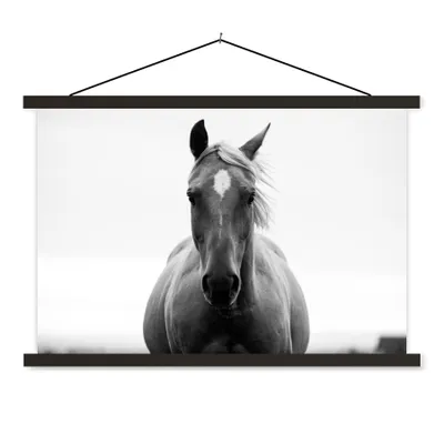 Produktbild von MuchoWow® Textilposter Pferd - Schwarz - Weiß - Porträt 120x80 cm mit schwarzem Rahmen - Wanddeko
