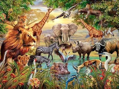 Produktbild von Pampicio Diamond Painting Mosaik Kinder Set 5D Dschungel Tiere