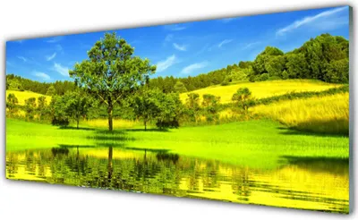 Produktbild von Acrylglasbilder 125x50 Wandbild Druck Wiese Baum Natur