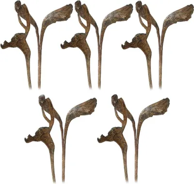 Immagine prodotto di Corna verniciate naturale decorazione materiale artigianale ramoscelli decorativi naturale set di 5