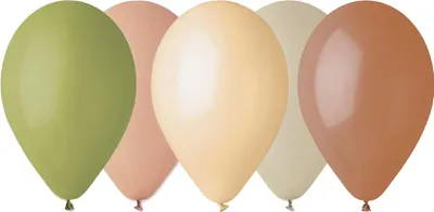 Immagine prodotto di Palloncini Boho Pastello 13 pollici, set da 5