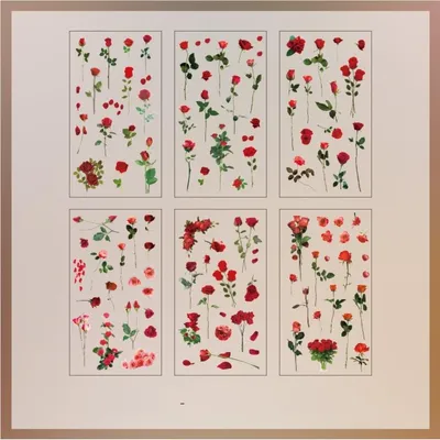 Zdjęcie produktu dla INF Vintage naklejki róż PET do journala i planerów, 5 arkuszy 10cm x 18cm