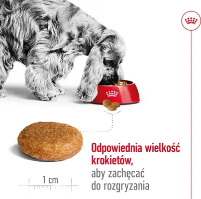 Produktbild von ROYAL CANIN Adult Medium - trockenfutter für Hunde - 4kg