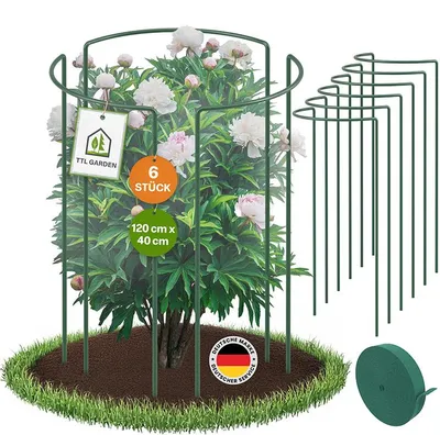 Produktbild von TTL GARDEN Strauchstützen 120x40cm 6er Set + Klettband Pflanzenstütze grün