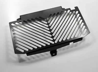 Immagine prodotto di Copriradiatore ZIEGER compatibile con BMW F 650 GS | F 700 GS Clean nero