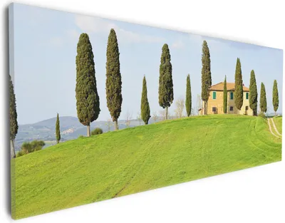 Produktbild von Wallario Premium Leinwandbild Villa auf einem Hügel in der Toskana in Größe 30 x 75 cm