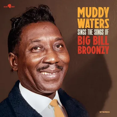 Obrázek produktu pro Muddy Waters: Sings the Songs of Big Bill Broonzy (180g) (5 Bonustracks)