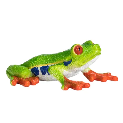 Immagine prodotto di Mojo Wildlife Roodoog Boomkikker 387299