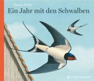 Image de Ein Jahr mit den Schwalben