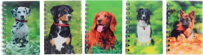 Zdjęcie produktu dla Notebook dogs 3D