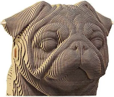 Obrázek produktu pro 3D kartonové puzzle - Mopy