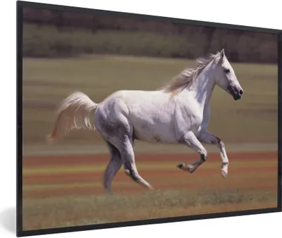 Produktbild von MuchoWow® Gerahmtes Poster Pferd - Licht - Gras 60x40 cm - Poster mit Schwarzem Bilderrahmen Wandposter Rahmen Foto Bilder - Printing - Wanddeko Schlafzimmer