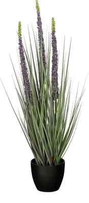 Obrázek produktu pro Mica Decorations Eremurus – umělá tráva – realistická umělá rostlina jako dekorace do obývacího pokoje – umělé rostliny – umělé pokojové rostliny – výška 80 cm, průměr 25 cm – zelená, fialová