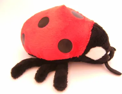 Produktbild von Cornelissen - Kuscheltier - Marienkäfer - 16 cm