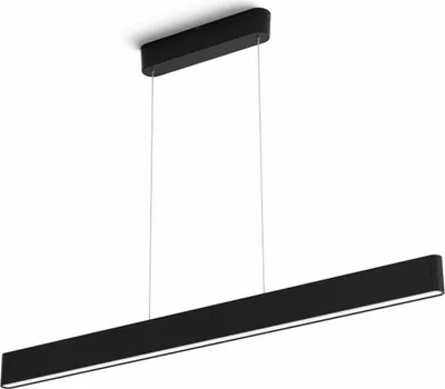 Image de Philips 929003052501 Philips Hue Ensis pendant black 2x39W 24V
