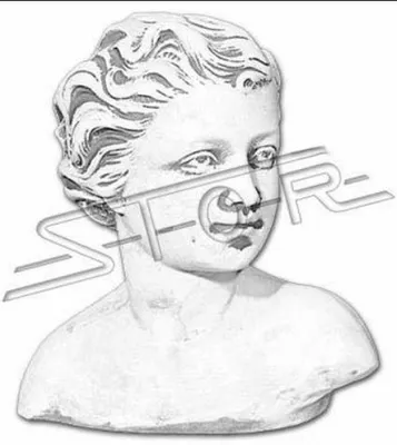 Produktbild von Eva Büste Skulptur Design Figur Statue Garten Figuren Statuen Skulpturen Neu 463