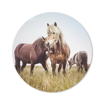 Produktbild von MuchoWow® Mauspad Mousepad Pferde - Gras - Frühling 20x20 cm - Mousepads - Maus Mat - Pad - Mausunterlage - Schreibtischmatte