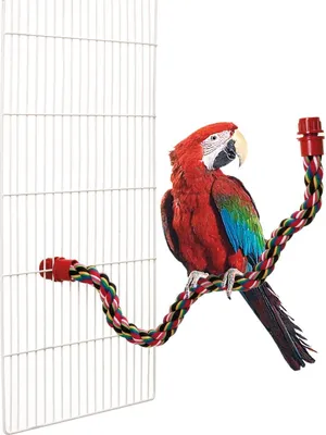 Produktbild von Karlie Vogel Sitzstange Baumwolle, Größe:75 cm ø 3 cm