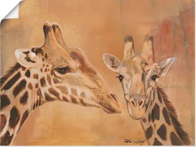 Produktbild von ARTland Poster Giraffen Größe: 120x90 cm