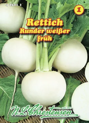 Produktbild von Rettich Runder weißer | Rettichsamen von N.L. Chrestensen