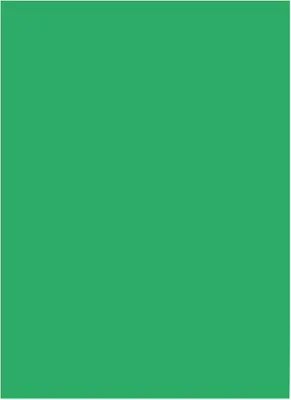 Immagine prodotto di folia 6354 folia Tonpapier, DIN A3, 130 g/qm, smaragdgrün
